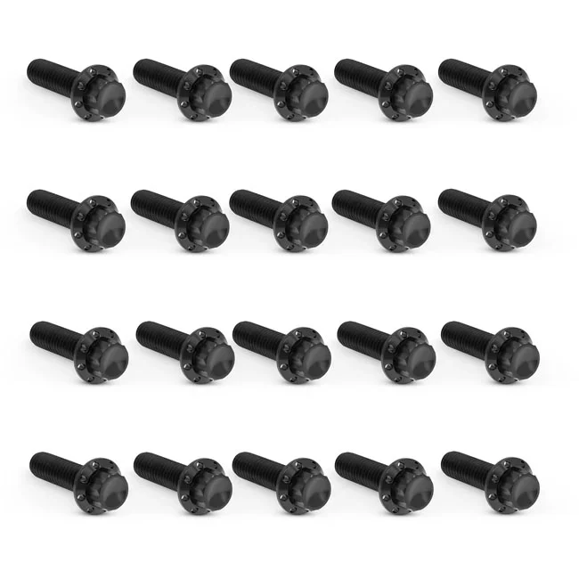 Arlen Ness BOLT KIT TITANIUM - M8 17-UP -