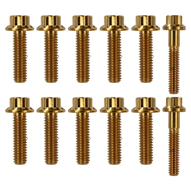 Arlen Ness Ness, transm. side cover & trap door 12-point bolt kit