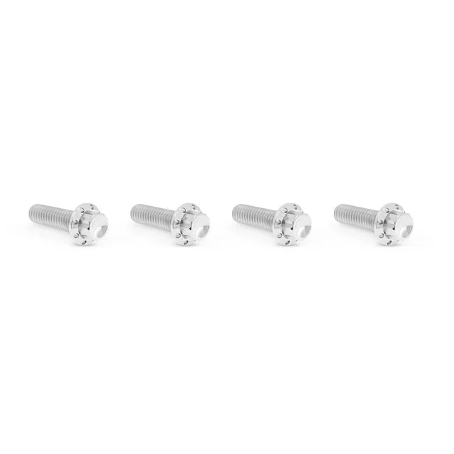 Arlen Ness BOLT KIT TITANIUM - M8 24-25 -