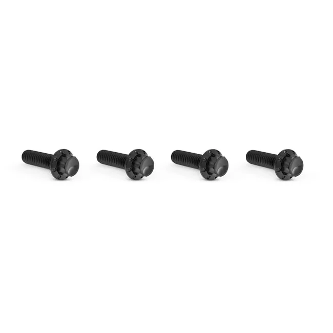 Arlen Ness BOLT KIT TITANIUM - M8 24-25 -