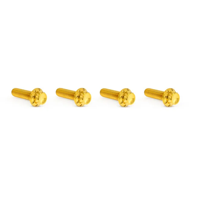 Arlen Ness BOLT KIT TITANIUM - M8 24-25 -