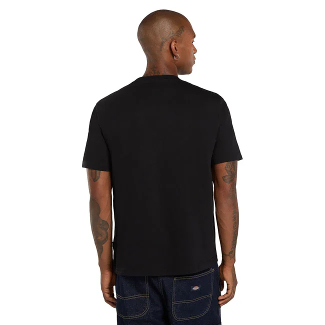 Dickies Mapleton t-shirt black