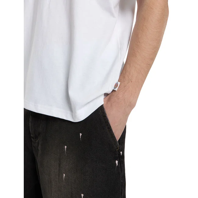 Dickies Millville t-shirt white