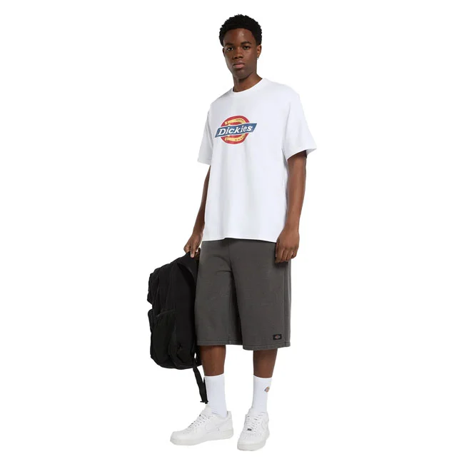 Dickies Icon Logo t-shirt white