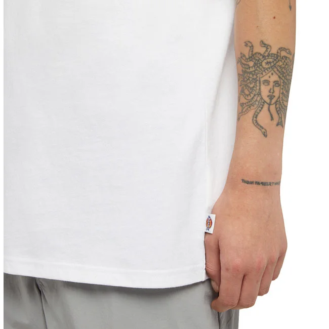 Dickies Clancy Heavyweight t-shirt white