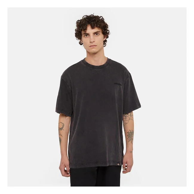 Dickies Plentywood t-shirt acid wash black