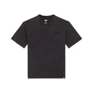 Dickies Dickies Plentywood t-shirt acid wash black