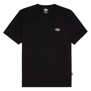 Dickies Dickies Summerdale t-shirt black