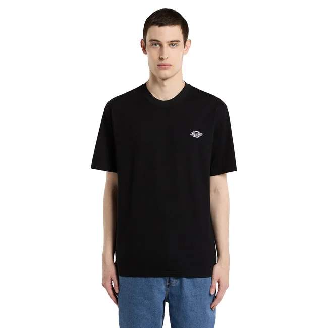 Dickies Summerdale t-shirt black