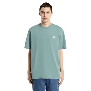 Dickies Dickies Summerdale t-shirt stormy sea