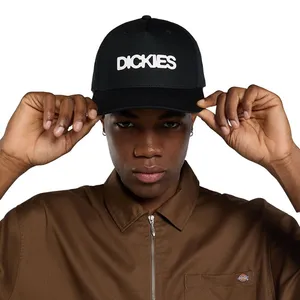 Dickies Dickies Torrey snapback cap black