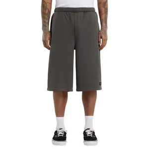 Dickies Dickies Streetsboro sweat short black