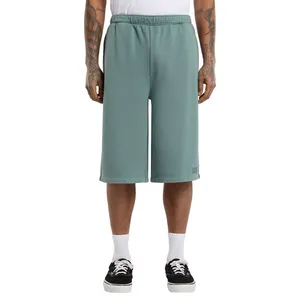 Dickies Dickies Streetsboro sweat short stormy sea