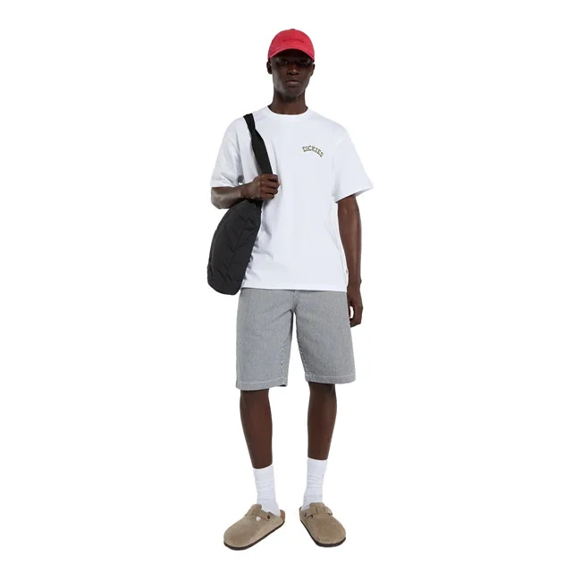 Dickies Bettsville t-shirt white