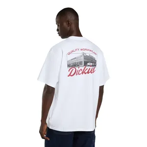 Dickies Dickies Wellsville t-shirt white