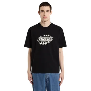 Dickies Dickies Irondale t-shirt black