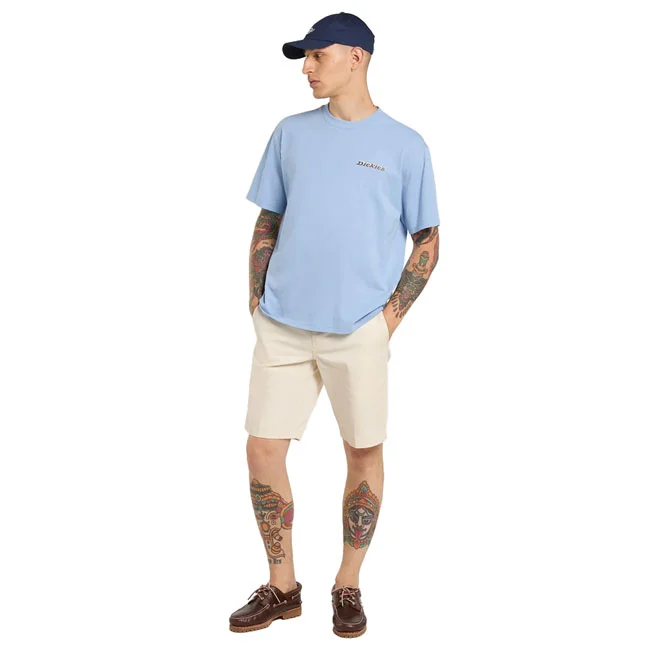 Dickies Thornville t-shirt endless sky