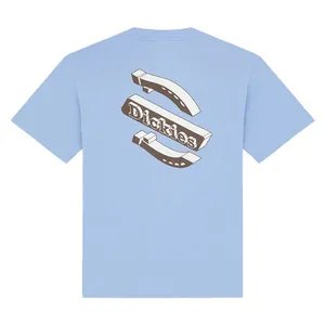 Dickies Dickies Thornville t-shirt endless sky