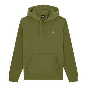 Dickies Dickies Oakport hoodie cypress