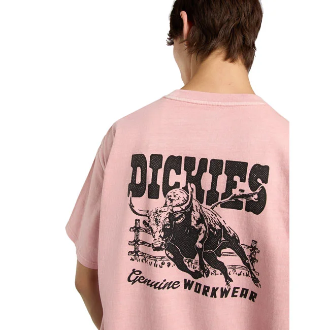 Dickies Buchtell t-shirt bridal rose