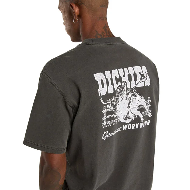 Dickies Buchtell t-shirt black