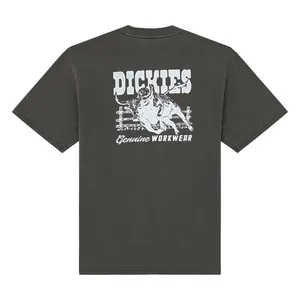 Dickies Dickies Buchtell t-shirt black