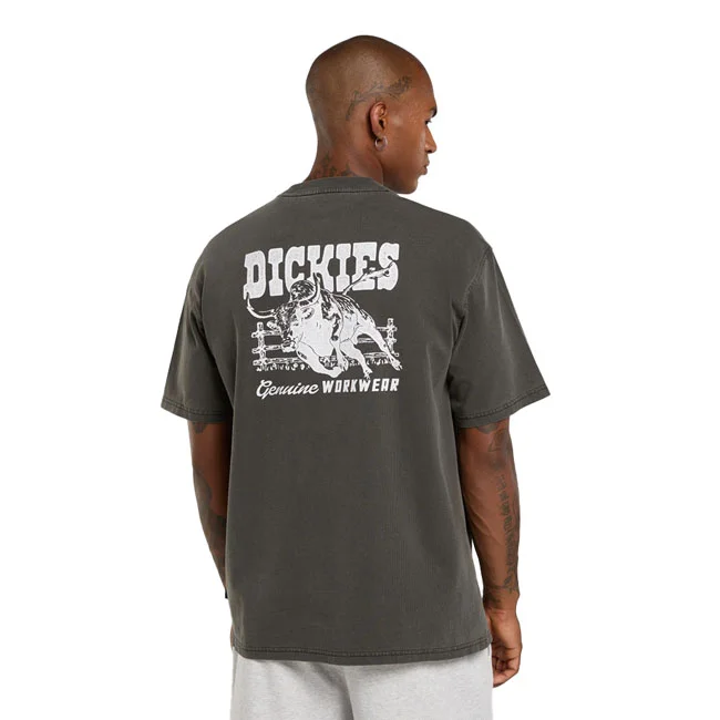 Dickies Buchtell t-shirt black