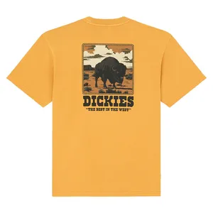 Dickies Dickies Darrtown t-shirt sunflower
