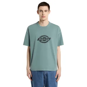 Dickies Dickies Plainville t-shirt stormy sea