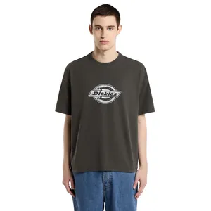 Dickies Dickies Plainville t-shirt black