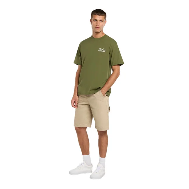 Dickies Vernal t-shirt cypress