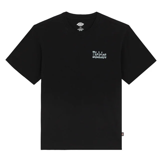 Dickies Vernal t-shirt black