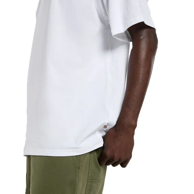 Dickies Vernal t-shirt white