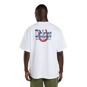 Dickies Dickies Vernal t-shirt white