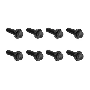 Arlen Ness Arlen Ness, titanium 12-point transmission side cover bolt k