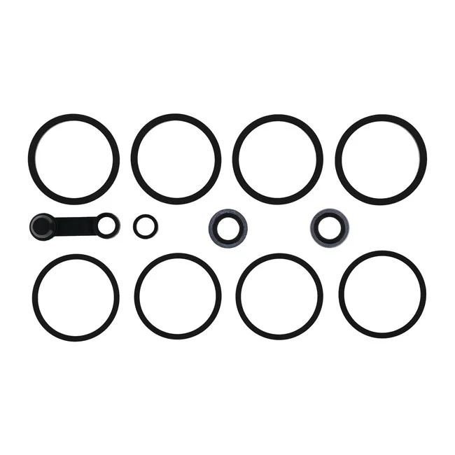 All Balls Caliper rebuild kit. Front SD
