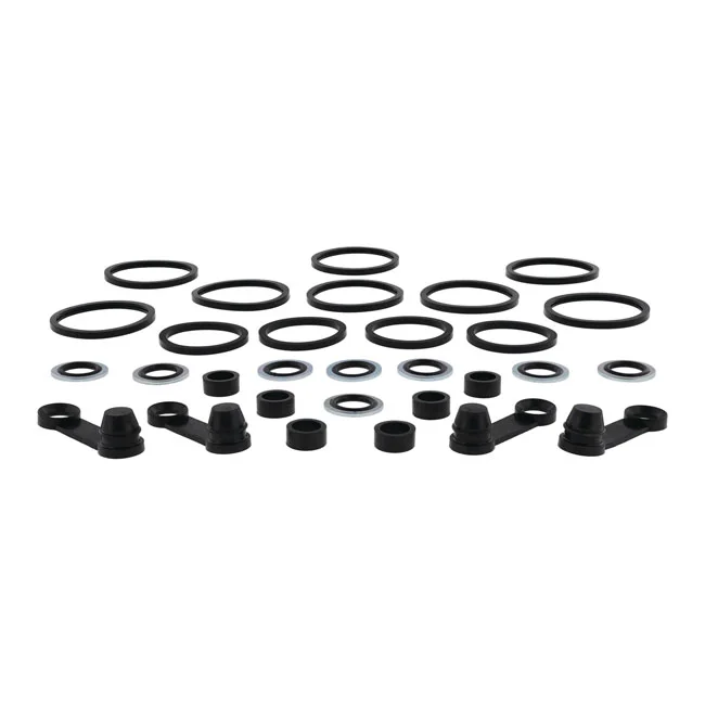 All Balls Caliper rebuild kit. Front DD