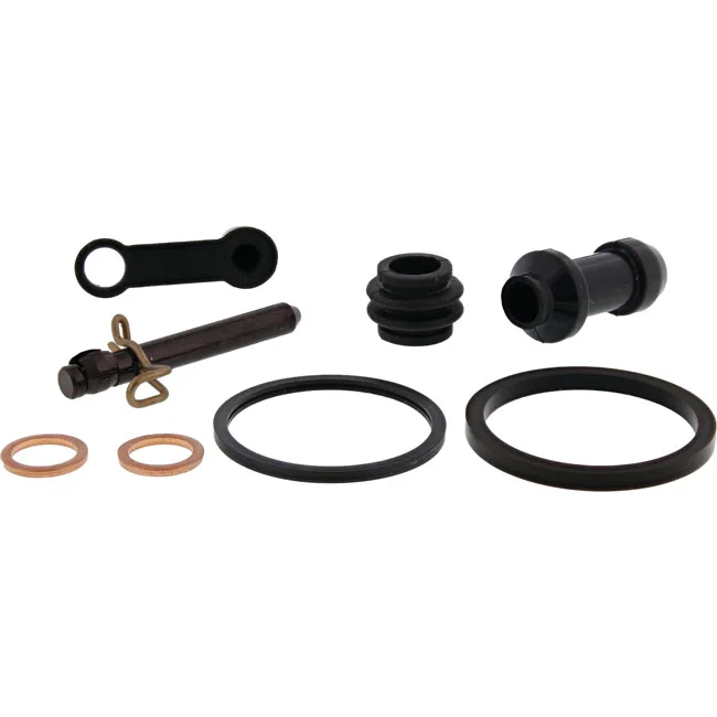 All Balls Caliper rebuild kit. Rear