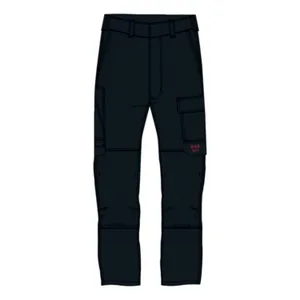 Carhartt Carhartt Flex Canvas multi-cargo pants black