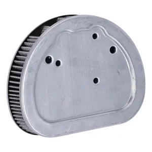 OEM OEM air filter