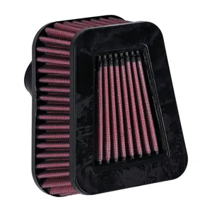 OEM OEM air filter