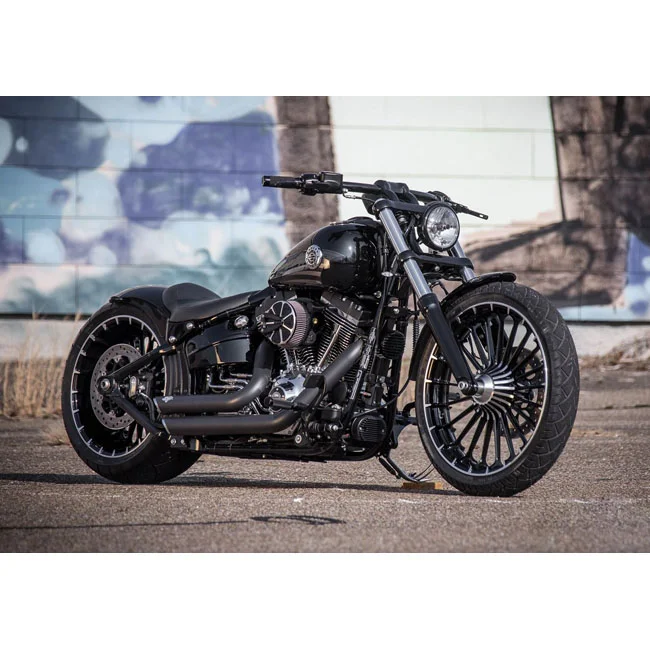 Rick's Motorcycles Air cleaner assembly ''Good Guys. Euro 3