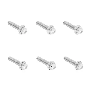 Arlen Ness Arlen Ness, Titanium 12-Point Hardware Kit, Side Cover, Pol.