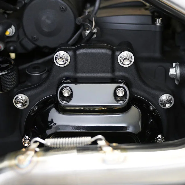 Arlen Ness Titanium 12-Point Hardware Kit, Side Cover, Pol.