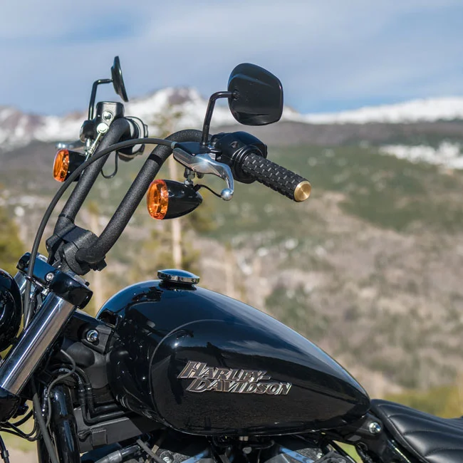 Arlen Ness Air Trax Grips e-Throttle, Brass