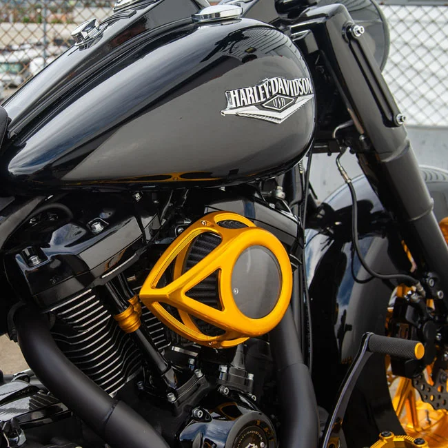 Arlen Ness Clear Tear Air Cleaner, Gold