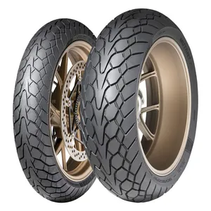 Dunlop Dunlop, Rear tire Mutant (69W) 150/70 ZR17