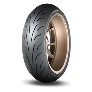 Dunlop Dunlop, Rear tire Qualifier Core 190/55 ZR17 (75W)