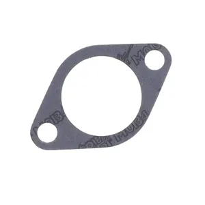 Athena Athena, intake manifold gasket