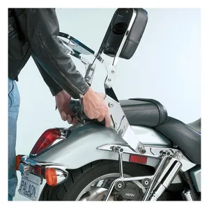 National Cycle NC Paladin® Quickset mount kit, chrome